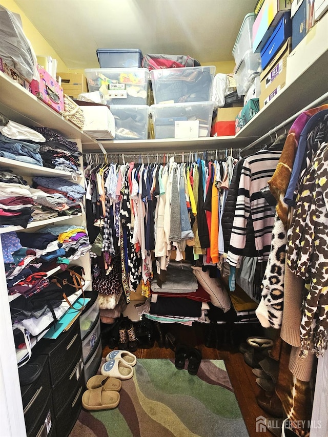 402 Raritan Ave, Middlesex, NJ 08846 - view of walk in closet
