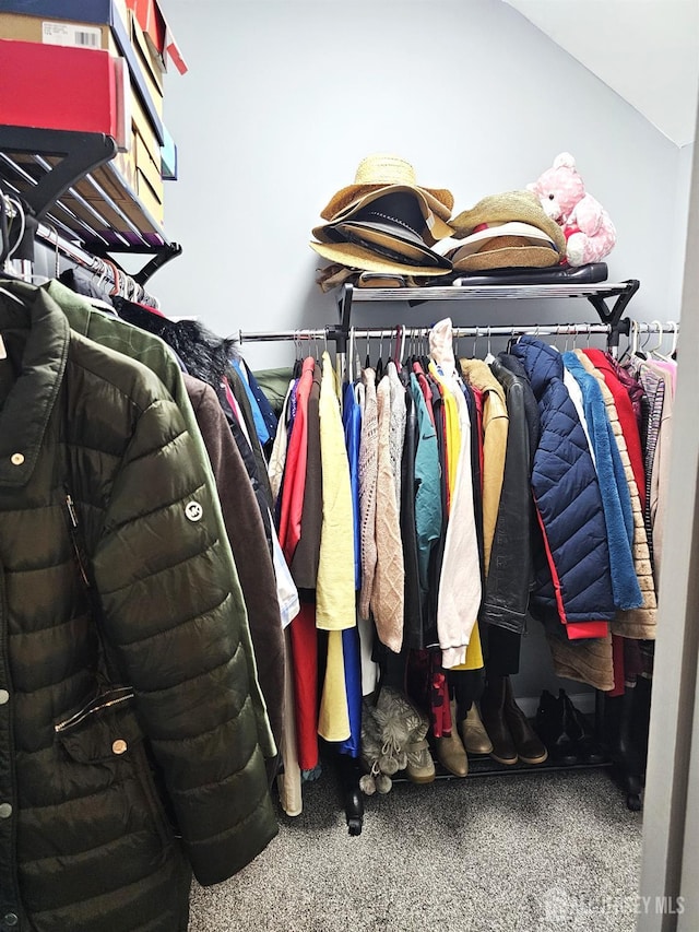 402 Raritan Ave, Middlesex, NJ 08846 - walk in closet with carpet