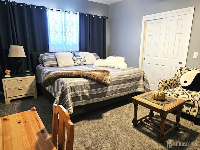 402 Raritan Ave, Middlesex, NJ 08846 - bedroom featuring carpet flooring and a closet