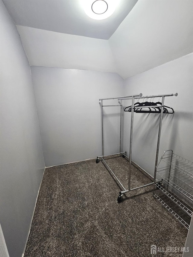 402 Raritan Ave, Middlesex, NJ 08846 - spacious closet with vaulted ceiling