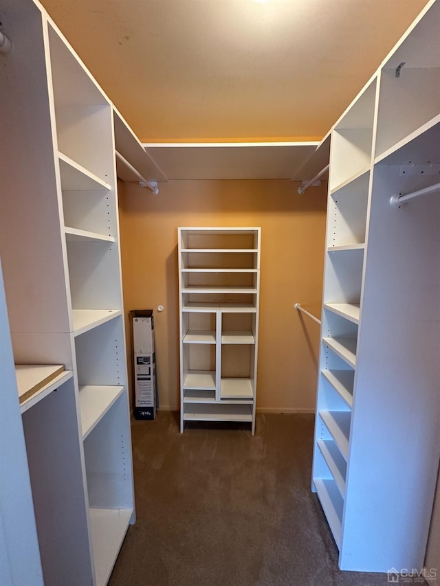 walk in closet featuring dark carpet