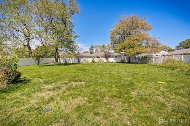 view of yard featuring a fenced backyard