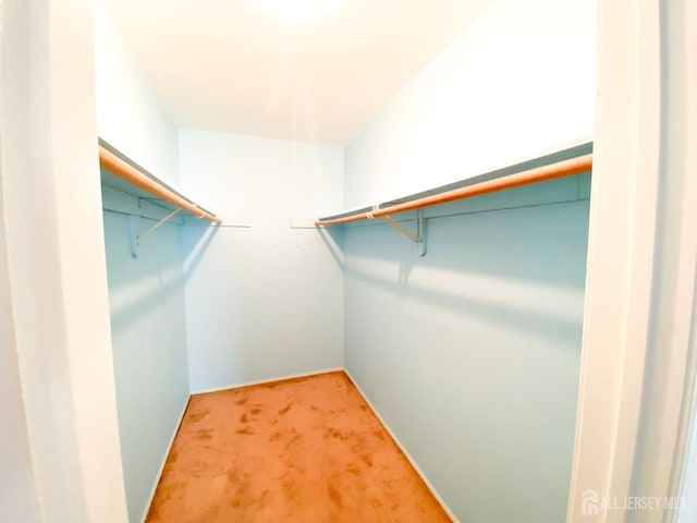 33 Foxhall St Unit B, Middlesex, NJ 08846 - spacious closet featuring carpet flooring
