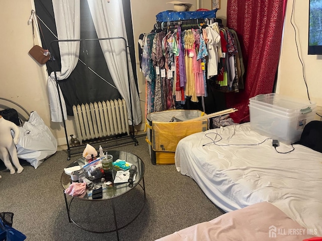 220 Paul Robeson Blvd, New Brunswick, NJ 08901 - photo 5