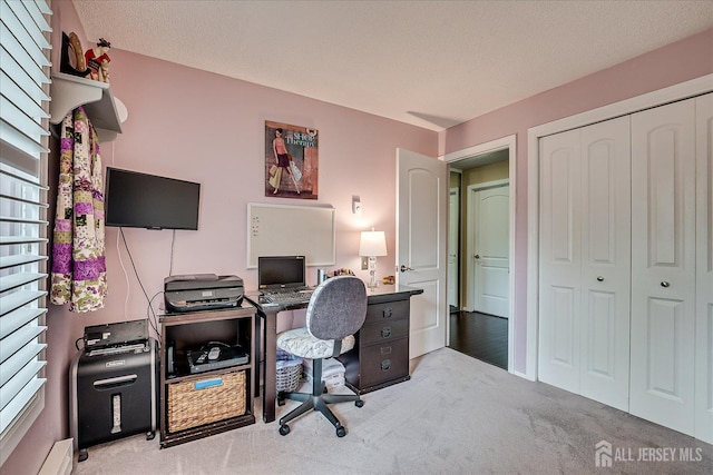 106-B Hemlock Plz, Monroe, NJ 08831 - view of carpeted home office