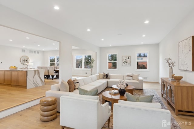 living room featuring a healthy amount of sunlight and light wood-type flooring