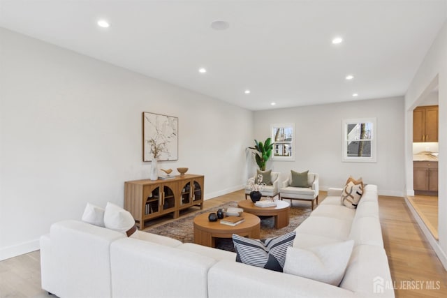 living room featuring light hardwood / wood-style flooring