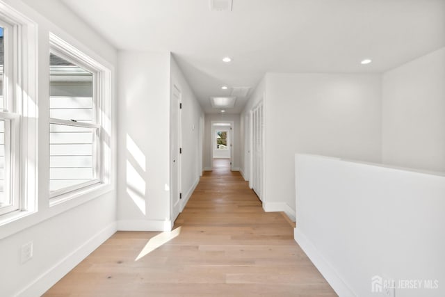 corridor featuring plenty of natural light and light hardwood / wood-style floors