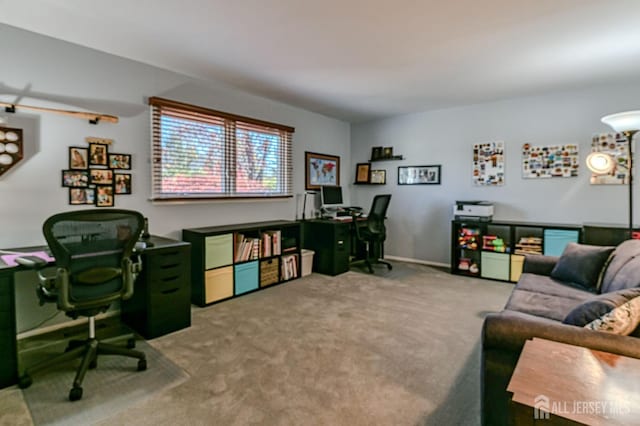 office space with carpet flooring