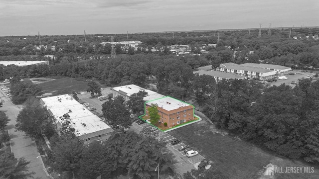 227 College Dr, Edison, NJ 08817 - aerial overview of property's location featuring property boundaries highlighted