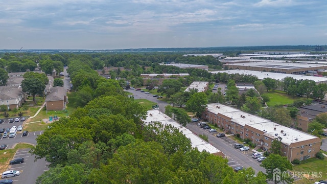 227 College Dr, Edison, NJ 08817 - bird's eye view