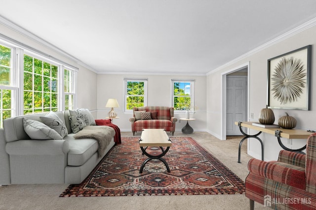 living area featuring baseboards, carpet flooring, and crown molding