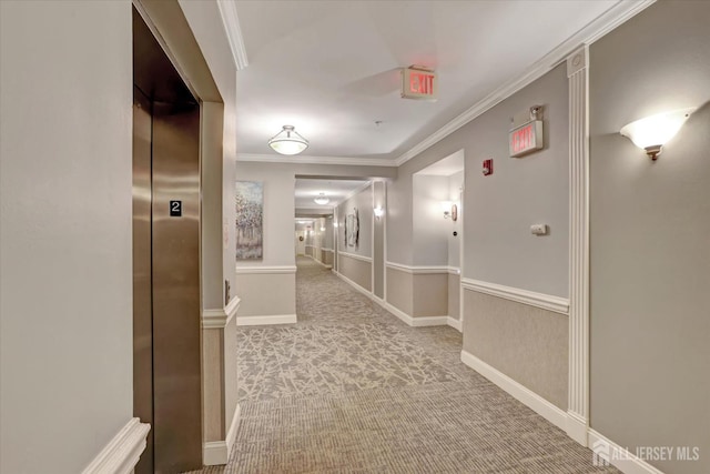 4215 Falston Cir Unit 15, Old Bridge, NJ 08857 - corridor with carpet, ornamental molding, and elevator