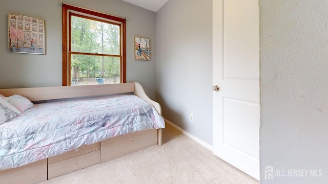 496 Calvert Rd, North Brunswick, NJ 08902 - bedroom featuring carpet and baseboards