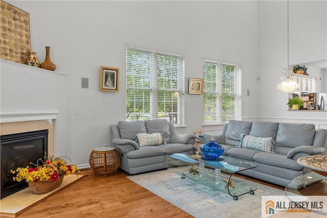 103 Einstein Way E, Windsor, NJ 08512 - living room featuring a high ceiling, wood finished floors, and a fireplace