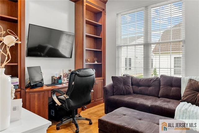 office featuring light wood-style floors