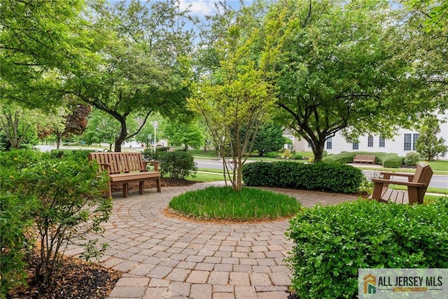 103 Einstein Way E, Windsor, NJ 08512 - view of surrounding community