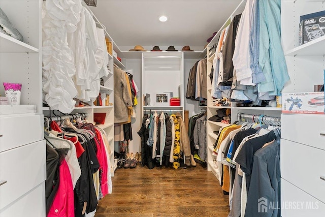 spacious closet featuring wood finished floors