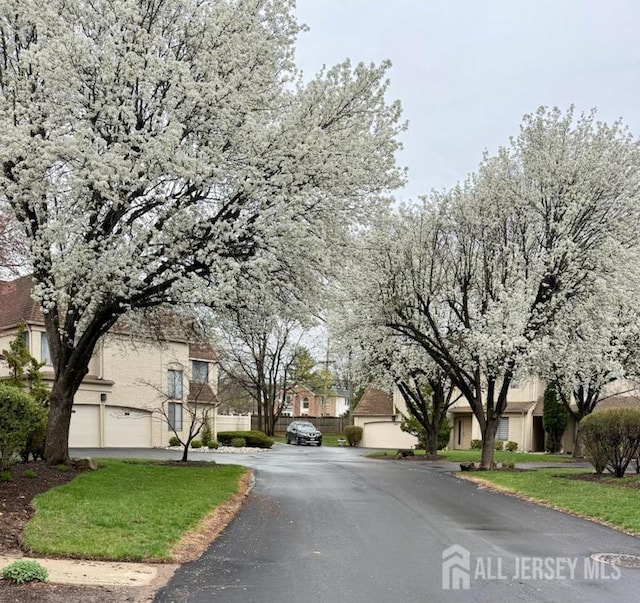 29 Gate House Ln, Edison, NJ 08820 - view of asphalt road featuring a residential view