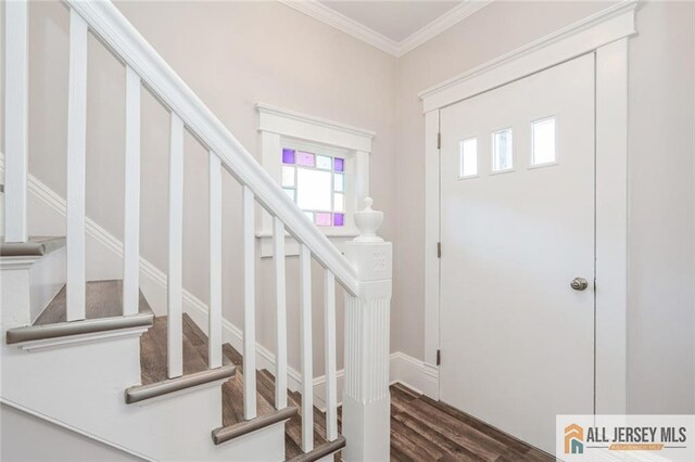 entrance foyer featuring ornamental molding and dark hardwood / wood-style flooring