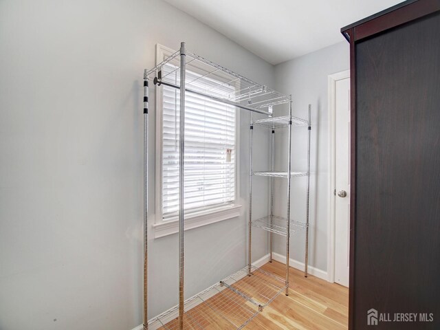 spacious closet featuring wood-type flooring