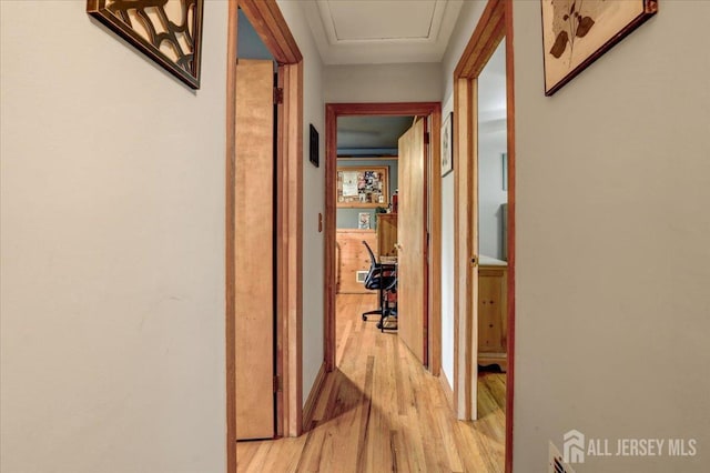 12 Euclid Rd, South Amboy, NJ 08879 - corridor featuring light wood finished floors