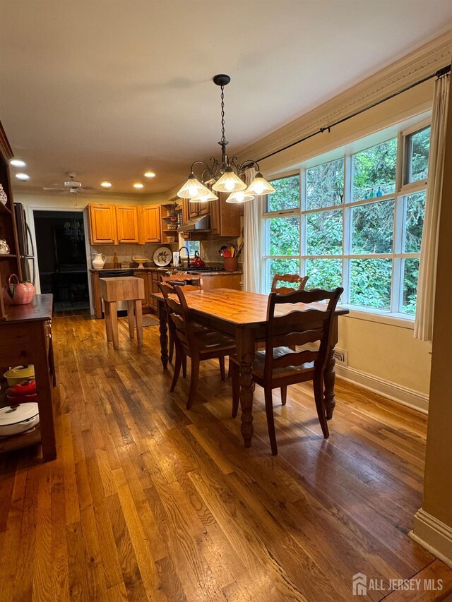13 Concord St, Edison, NJ 08820 - dining space featuring healthy amount of natural light, recessed lighting, dark wood finished floors, and a chandelier