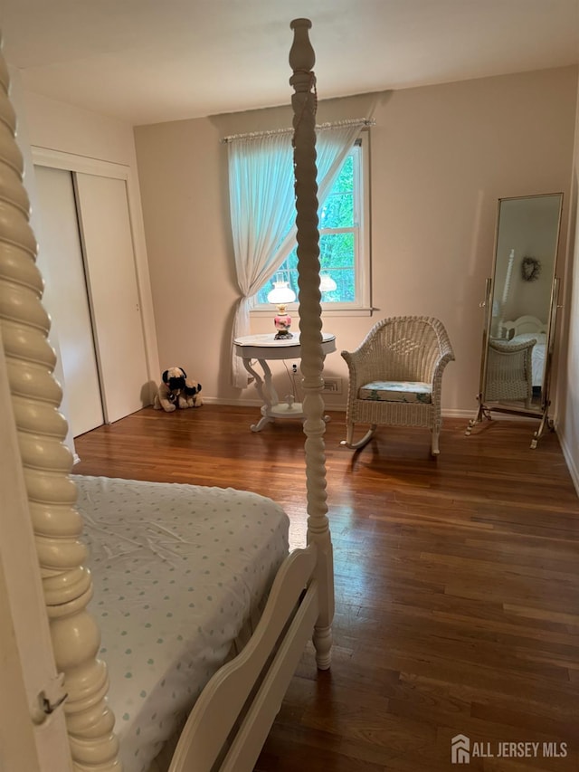 13 Concord St, Edison, NJ 08820 - bedroom with wood finished floors and a closet
