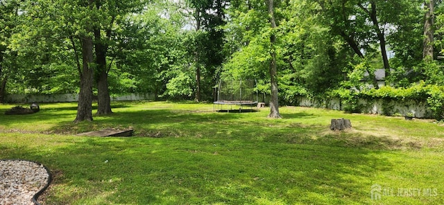 95 Gravel Hill-Spotswood Rd, Monroe, NJ 08831 - view of yard with a trampoline