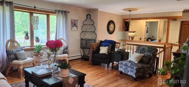 95 Gravel Hill-Spotswood Rd, Monroe, NJ 08831 - living room with healthy amount of natural light, a baseboard heating unit, wood finished floors, and crown molding