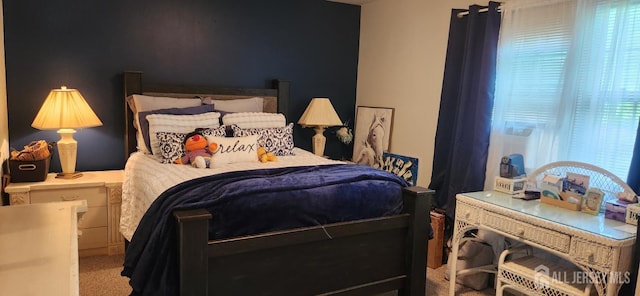 95 Gravel Hill-Spotswood Rd, Monroe, NJ 08831 - view of carpeted bedroom