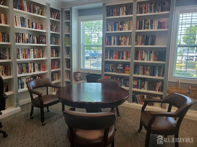 221 Valencia Dr, Monroe, NJ 08831 - photo 81