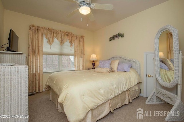 221 Valencia Dr, Monroe, NJ 08831 - photo 67