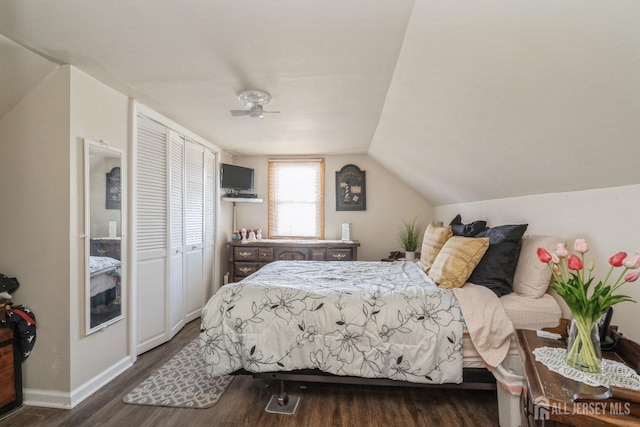 bedroom featuring vaulted ceiling, dark wood-type flooring, and a closet