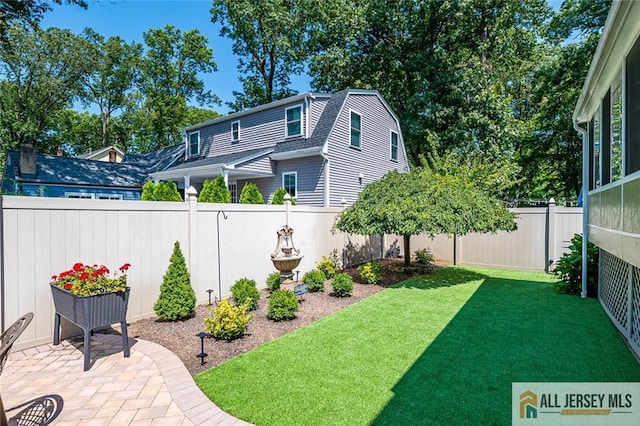 view of yard featuring a patio area