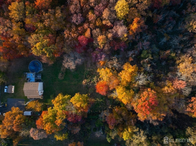 bird's eye view