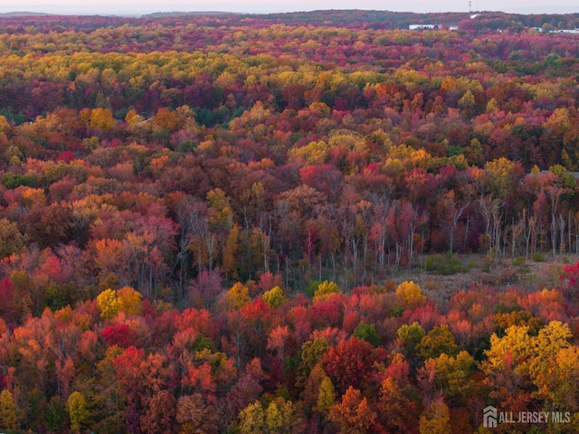 aerial view with a view of trees