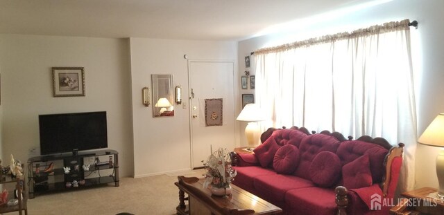 carpeted living area with plenty of natural light