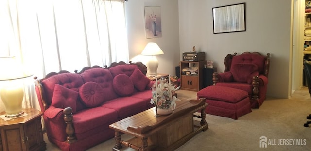 living room with carpet and a wealth of natural light
