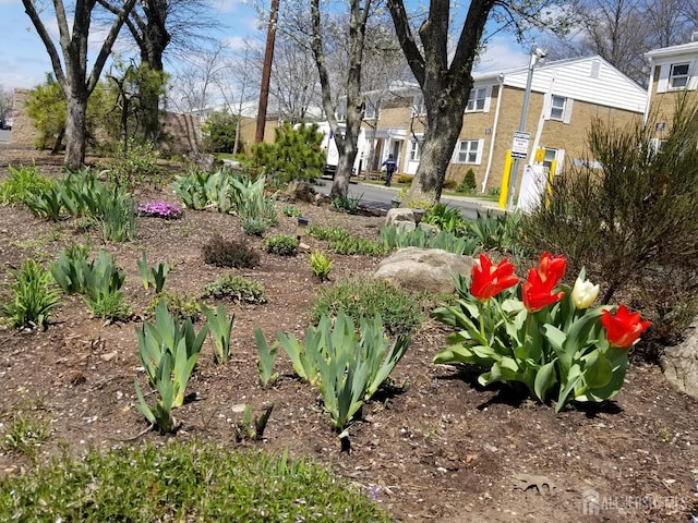 27 Judson St Unit 2A, Edison, NJ 08837 - view of yard