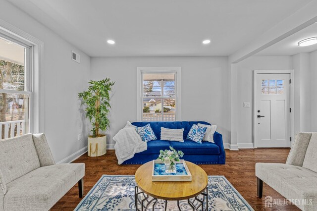 living room with dark hardwood / wood-style flooring