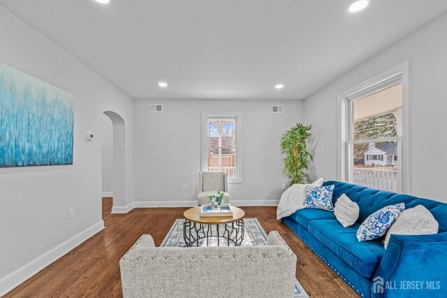 living room featuring dark wood-type flooring and a healthy amount of sunlight