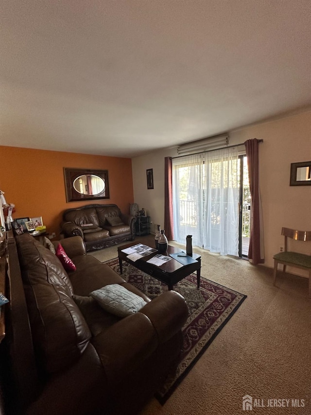 4215 Birchwood Ct, North Brunswick, NJ 08902 - living area with carpet