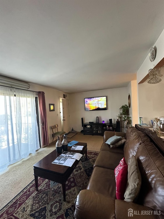 4215 Birchwood Ct, North Brunswick, NJ 08902 - living area with carpet floors