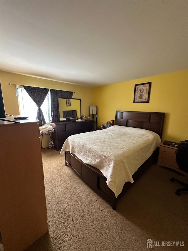 4215 Birchwood Ct, North Brunswick, NJ 08902 - view of carpeted bedroom
