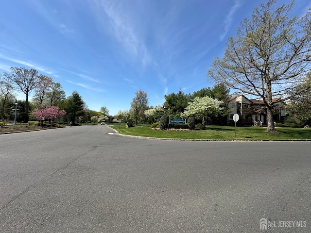 4215 Birchwood Ct, North Brunswick, NJ 08902 - view of asphalt road with curbs