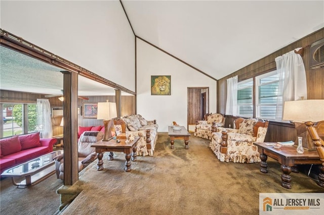 116 Whitman St, Carteret, NJ 07008 - living room with carpet floors, high vaulted ceiling, and wooden walls