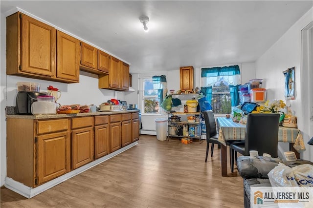 18 Lee Ave, New Brunswick, NJ 08901 - kitchen featuring light wood finished floors and brown cabinets