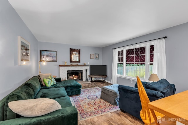 living room with hardwood / wood-style flooring