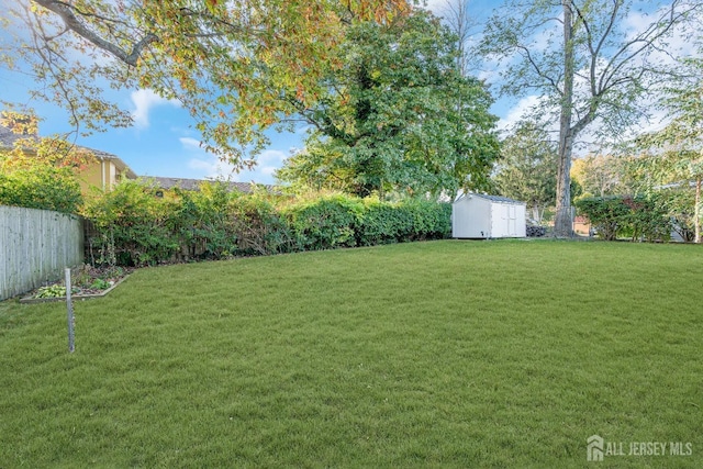 view of yard with a storage unit